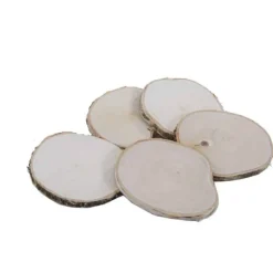 5 Holzscheiben | Glatt geschliffen | 10cm