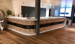 5 Holzscheiben | Naturbelassen | 8cm