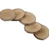 5 Holzscheiben | Naturbelassen | 10cm