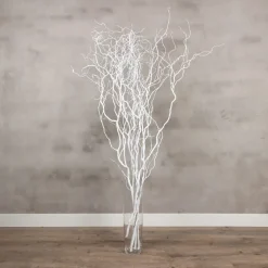 5 Zweige | Korkenzieherweide | Weiß | 160 cm