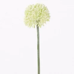 Alliumblüte Groß | Weiß | 65cm
