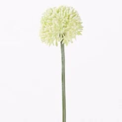 Alliumblüte Groß | Weiß | 65cm