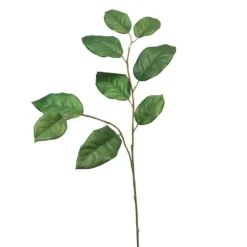 Apfelblattzweig | 75cm