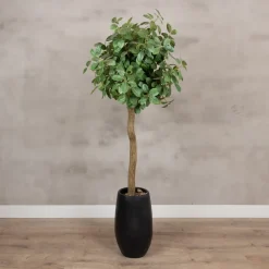 Baum Palermo | Mit Topf | 165cm