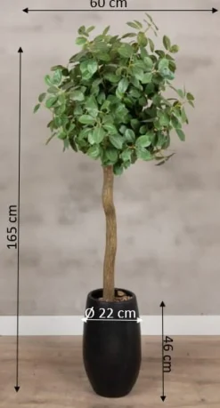 Baum Palermo | Mit Topf | 165cm