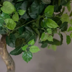 Baum Sizilien | Mit Topf | 165cm