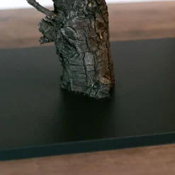 Baum Venetië | 180cm