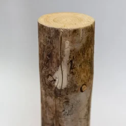 Baumstamm | Länge 50–100 cm | Ø 8–9 cm