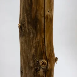 Baumstamm | Länge 50–100 cm | Ø 8–9 cm