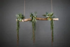 Baumstamm | Länge 50–100 cm | Ø 8–9 cm