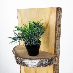 Baumstamm Standregal Dudley | Eichenholz mit Rinde | 100cm