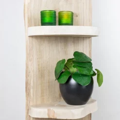 Baumstamm Standregal York | Eichenholz geschliffen | 150cm