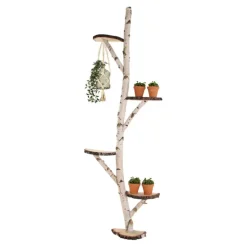 Baumstamm Wandregal | Birke | 200cm