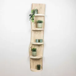 Baumstamm Wandregal Eton | Eichenholz geschliffen | 150cm