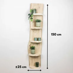 Baumstamm Wandregal Eton | Eichenholz geschliffen | 150cm