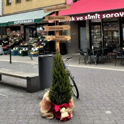 Baumstamm Wegweiser mit 2 Pfeile – Personalisiertes Symbol/Text – 165cm