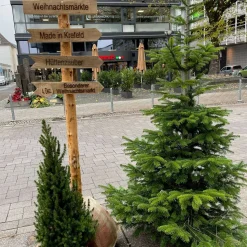 Baumstamm Wegweiser mit 2 Pfeile – Personalisiertes Symbol/Text – 165cm