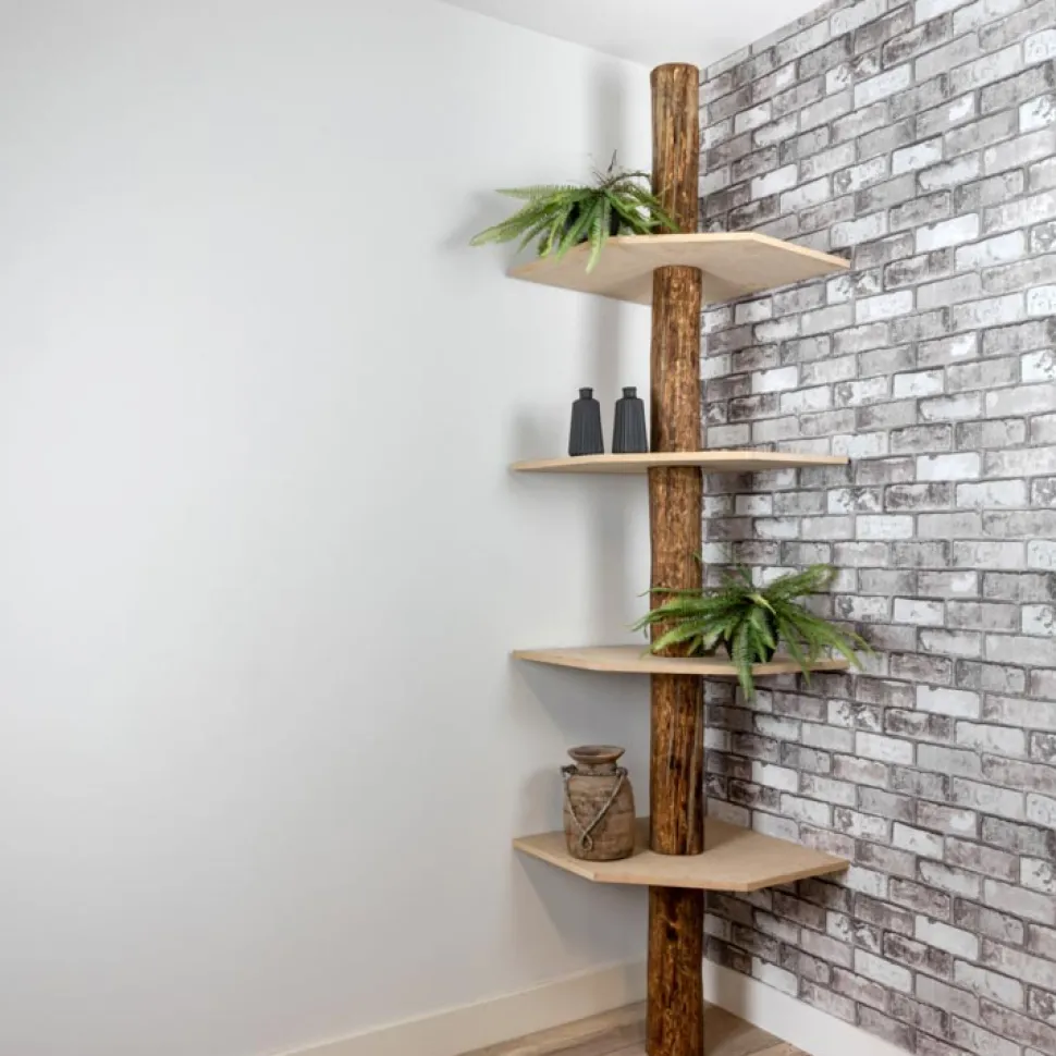 Baumstamm-Eckregal Tarik | Oak | 250 cm