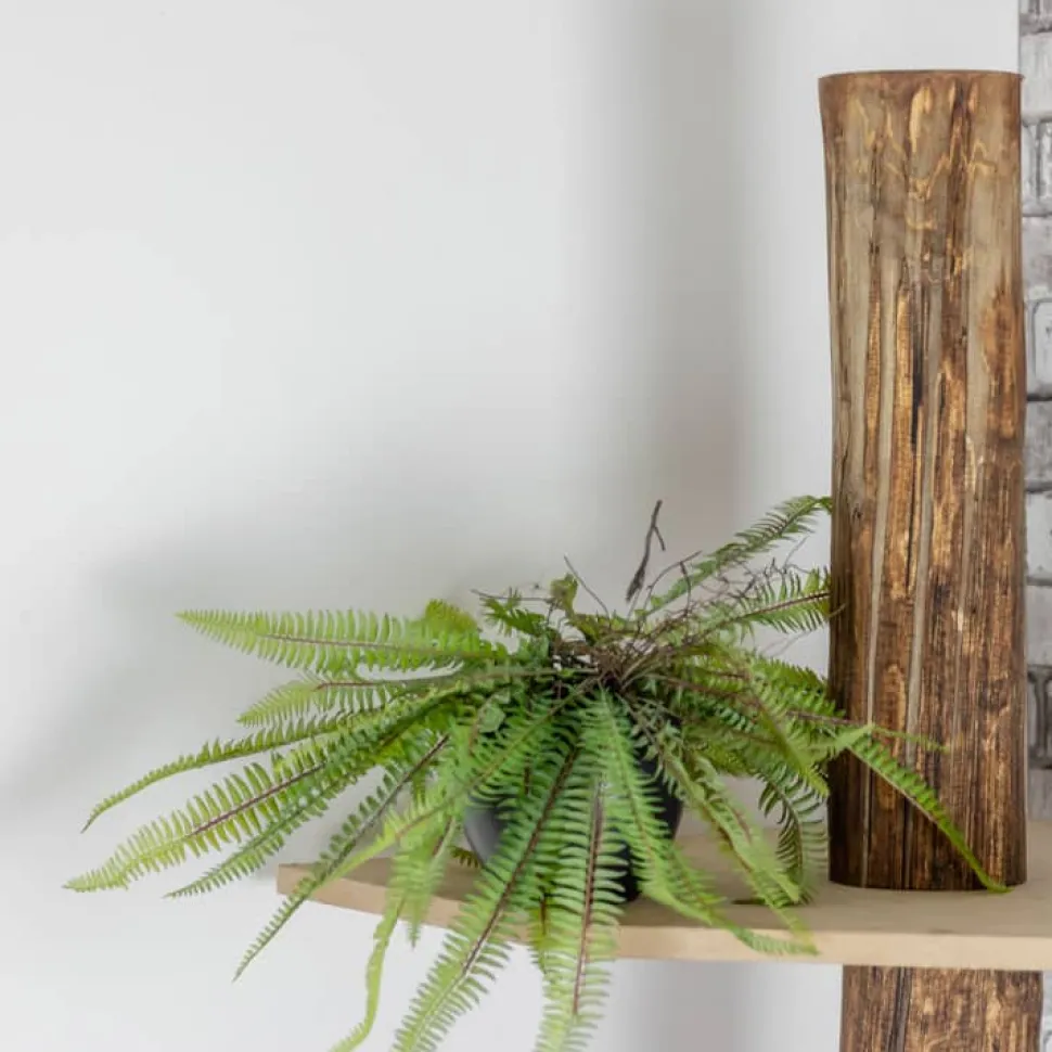 Baumstamm-Eckregal Tarik | Oak | 250 cm