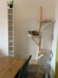 Baumstamm-Wandkratzbaum | Cleo | 200x80cm