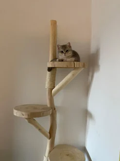 Baumstamm-Wandkratzbaum | Cleo | 200x80cm