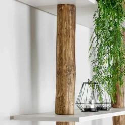 Baumstamm-Wandregal Cedric | Oak | Weiße Böden | 250 cm