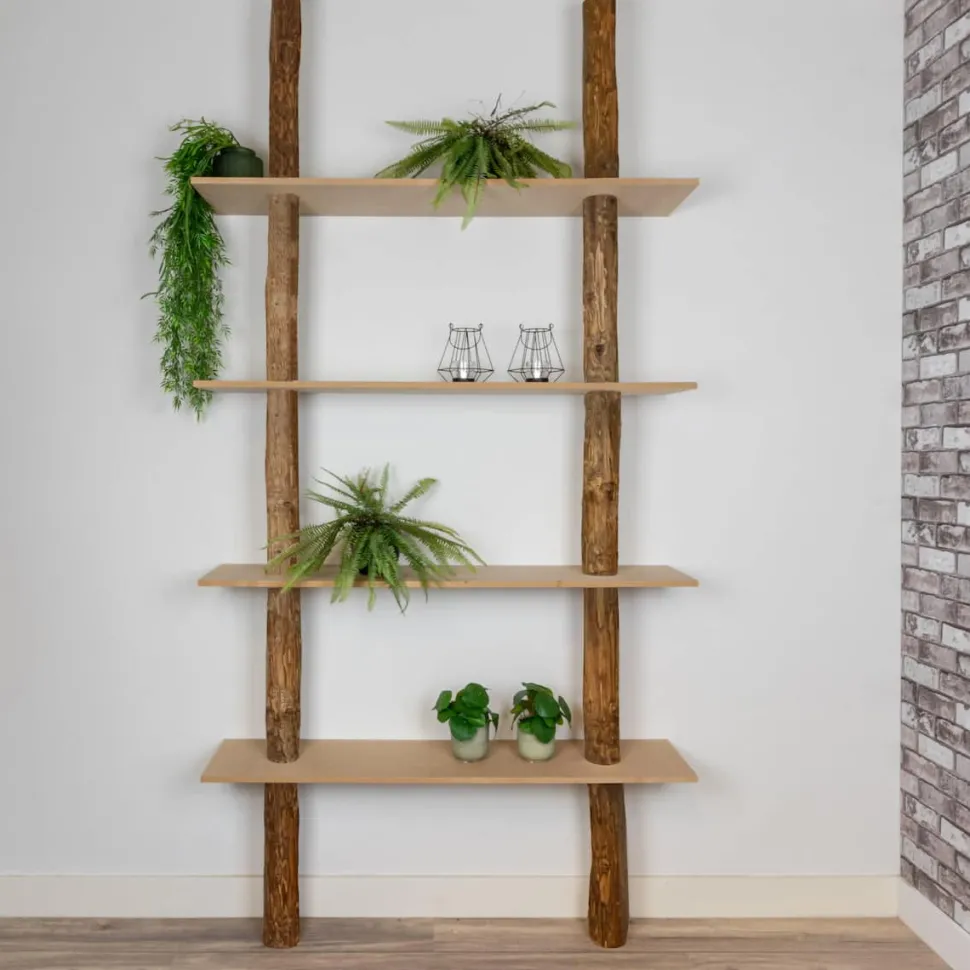 Baumstamm-Wandregal Cedric | Oak | 250 cm