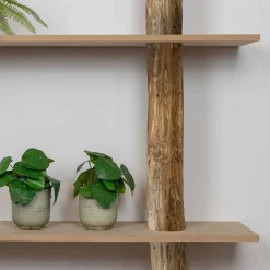 Baumstamm-Wandregal Cedric | Oak | 250 cm