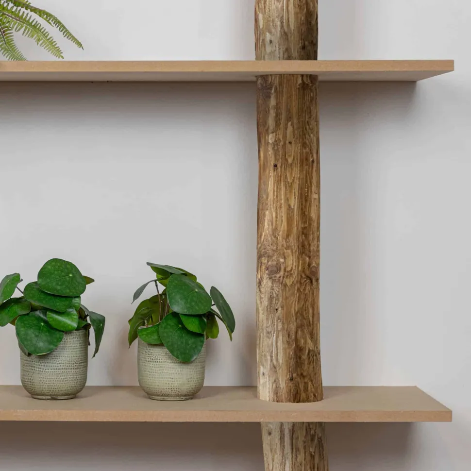 Baumstamm-Wandregal Cedric | Oak | 250 cm
