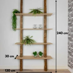 Baumstamm-Wandregal Cedric | Oak | 250 cm