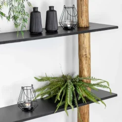 Baumstamm-Wandregal Cedric | Oak | Schwarze Böden | 250 cm