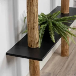 Baumstamm-Wandregal Cedric | Oak | Schwarze Böden | 250 cm