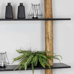 Baumstamm-Wandregal Cedric | Oak | Schwarze Böden | 250 cm