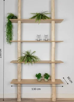 Baumstamm-Wandregal Cedric | 250 cm