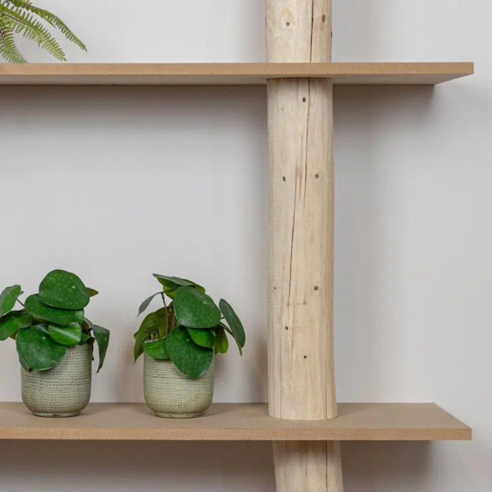 Baumstamm-Wandregal Cedric | 250 cm
