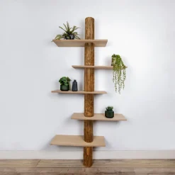 Baumstamm-Wandregal Einar | Oak | 250 cm