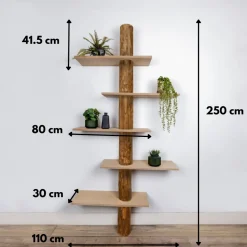 Baumstamm-Wandregal Einar | Oak | 250 cm