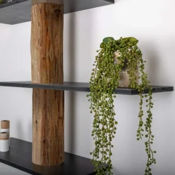 Baumstamm-Wandregal Einar | Oak | Schwarze Böden | 250 cm