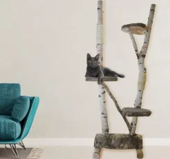 Birken-Kratzbaum | Mimi | 200x100cm