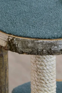 Birken-Kratzbaum | Mimi | 200x100cm