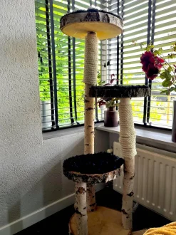 Birken-Kratzbaum | Minoes | 125x35cm