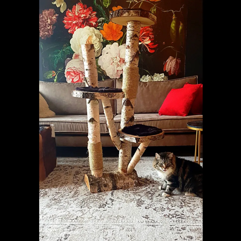 Birken-Kratzbaum | Nala | 120x80cm