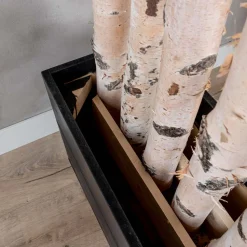 Birken-Raumteiler Asta | Mit schwarzem Kasten und Rollen | H180cm