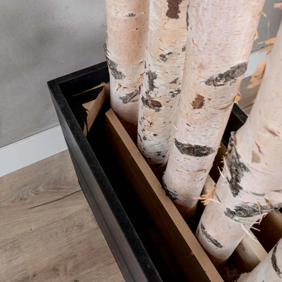 Birken-Raumteiler Asta | Mit schwarzem Kasten und Rollen | H180cm