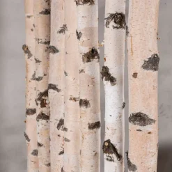 Birken-Raumteiler Asta | Mit schwarzem Kasten und Rollen | H180cm