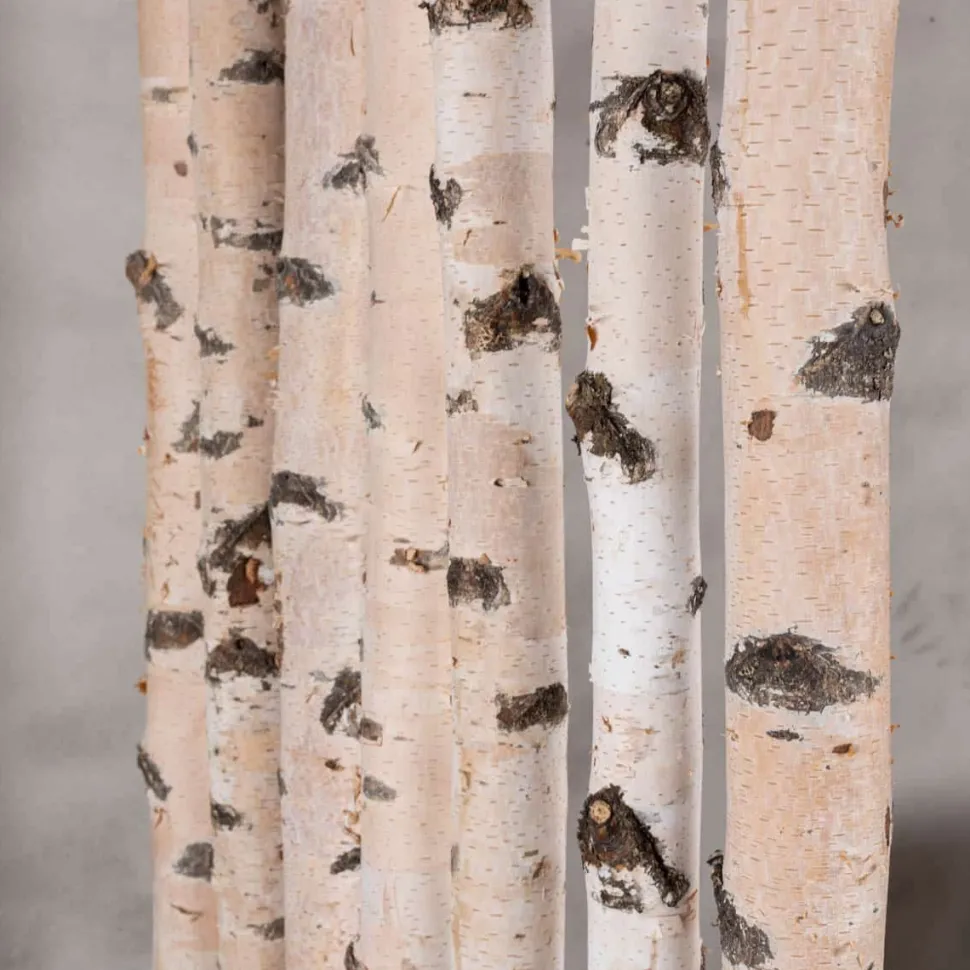 Birken-Raumteiler Asta | Mit schwarzem Kasten und Rollen | H180cm