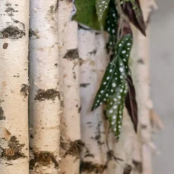 Birken-Raumteiler Esben | Mit künstlicher Pflanzendekoration | H200cm