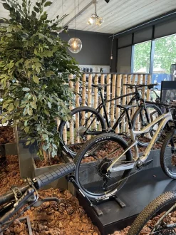 Birken-Raumteiler Thor | Mit schwarzem Fuß | H165cm