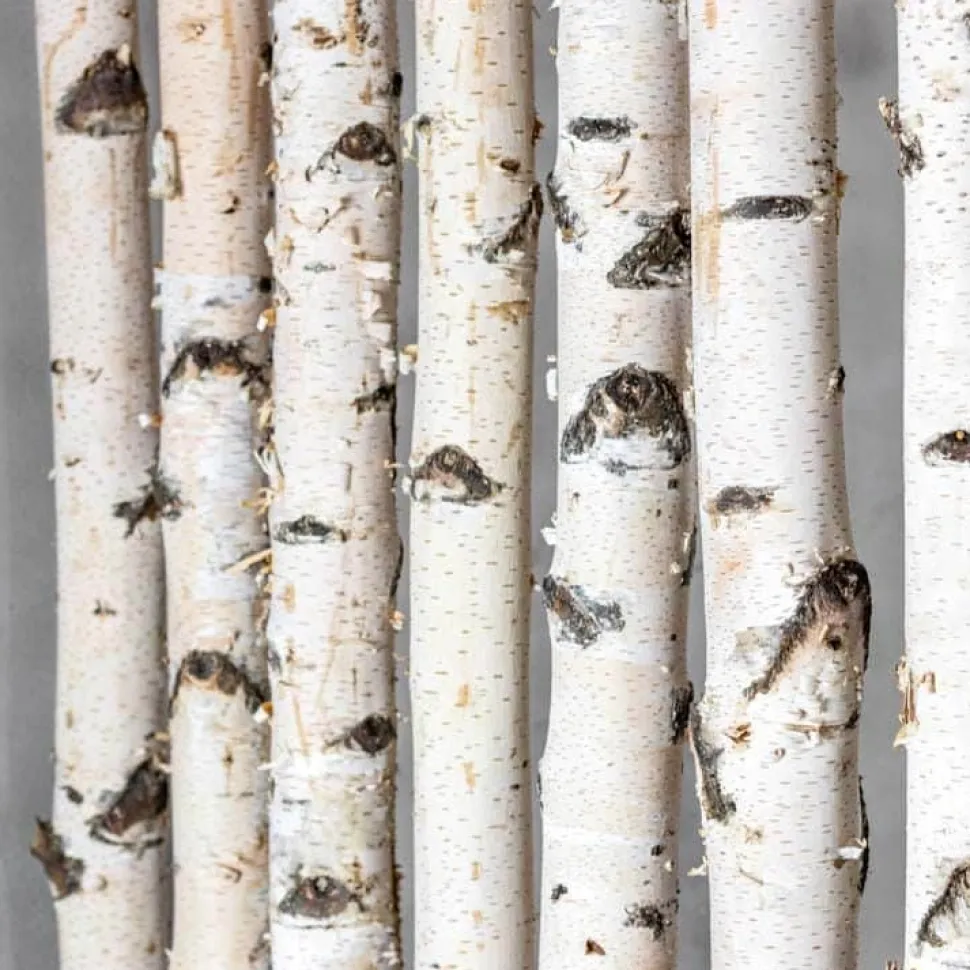 Birken-Raumteiler Thor | Mit schwarzem Fuß | H165cm