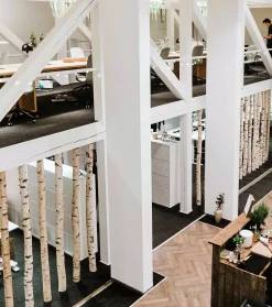 Birkenstamm | Länge 50 –150 cm | Ø 8–9 cm